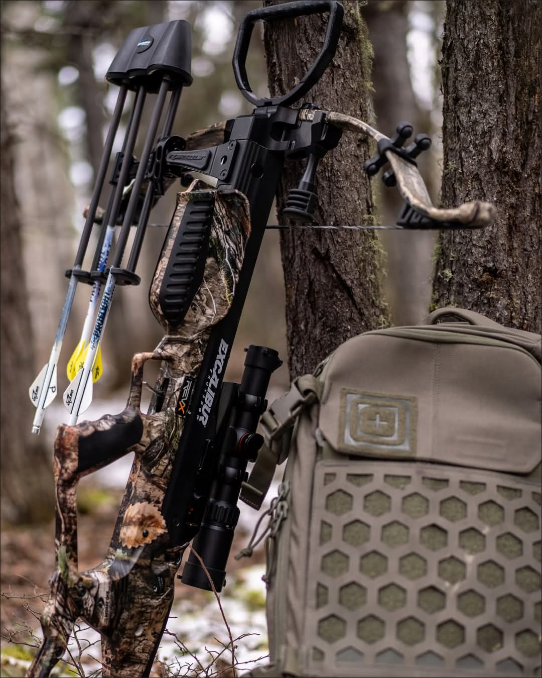 Arbalètes Classiques