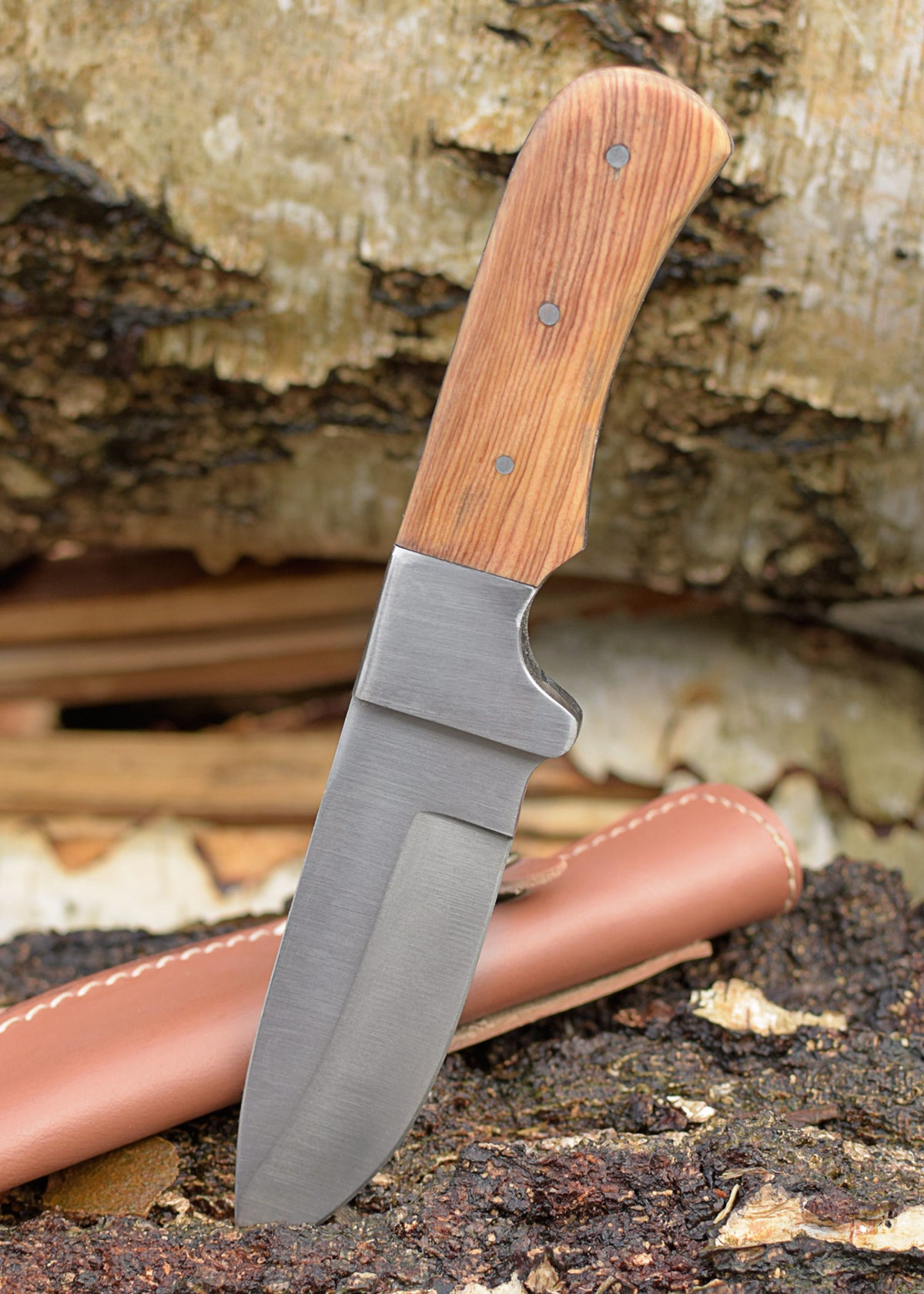 Couteau de chasse à lame fixe avec manche en olivier et étui en cuir