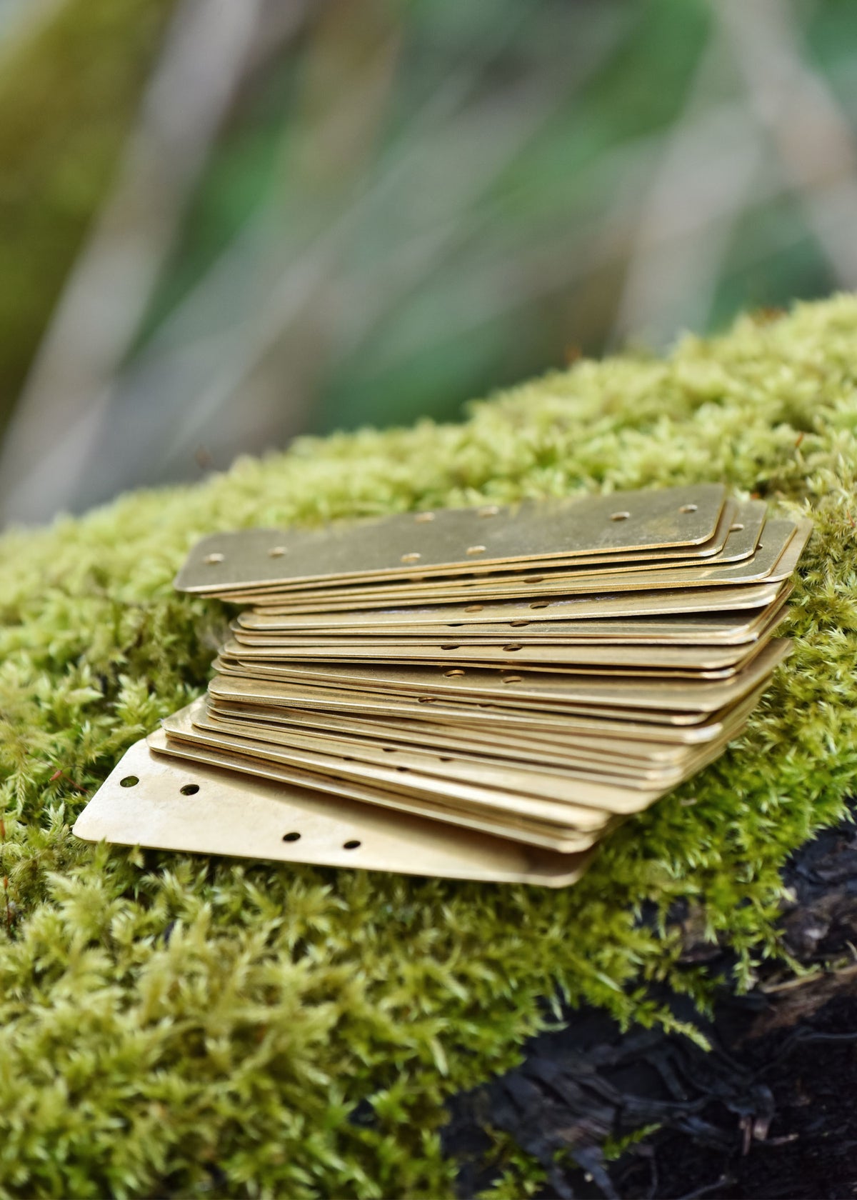Écailles en laiton 90 x 30 mm pour armure lamellaire, lot de 25