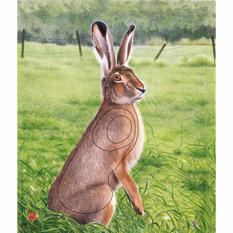 Blason de Chasse Lièvre - Archery Connect