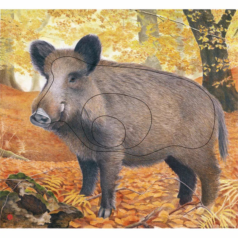 Blason de Chasse Sanglier - Archery Connect