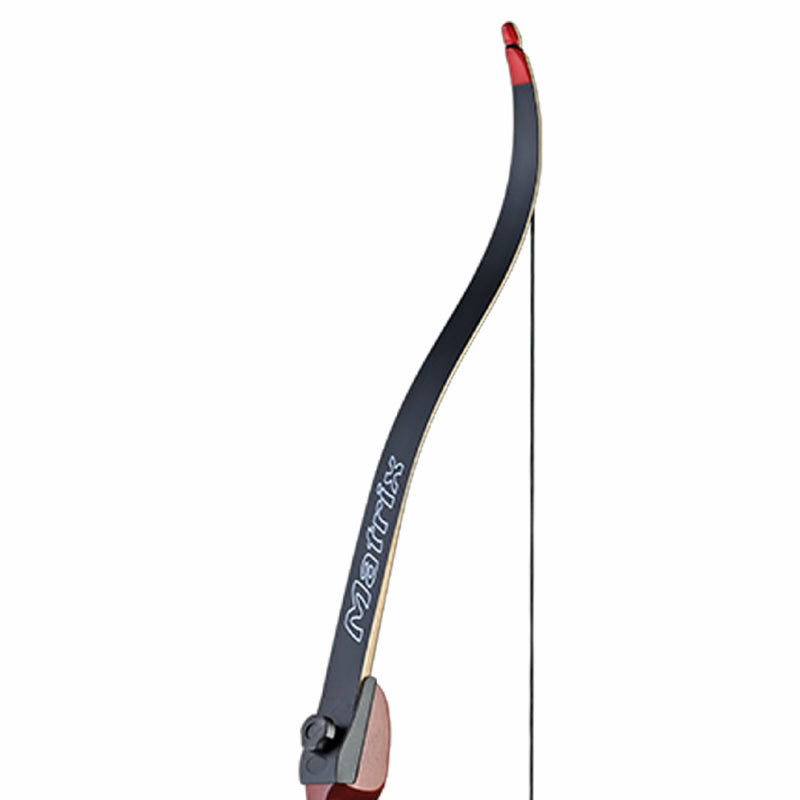 Branches d'Arc Ragim Matrix - Vue 2 - Archery Connect