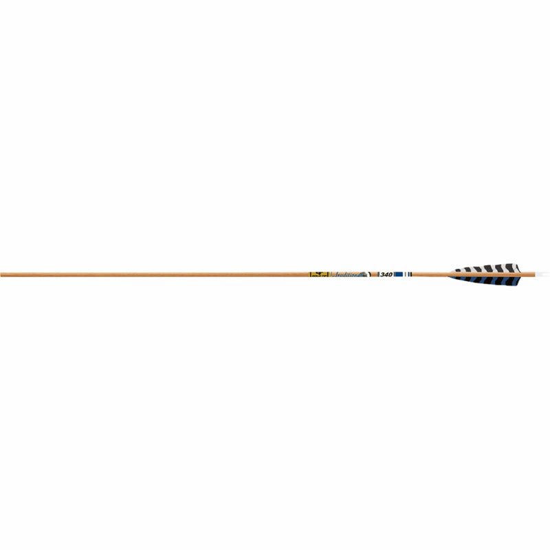 Tubes Gold Tip Shaft Carbon Traditional