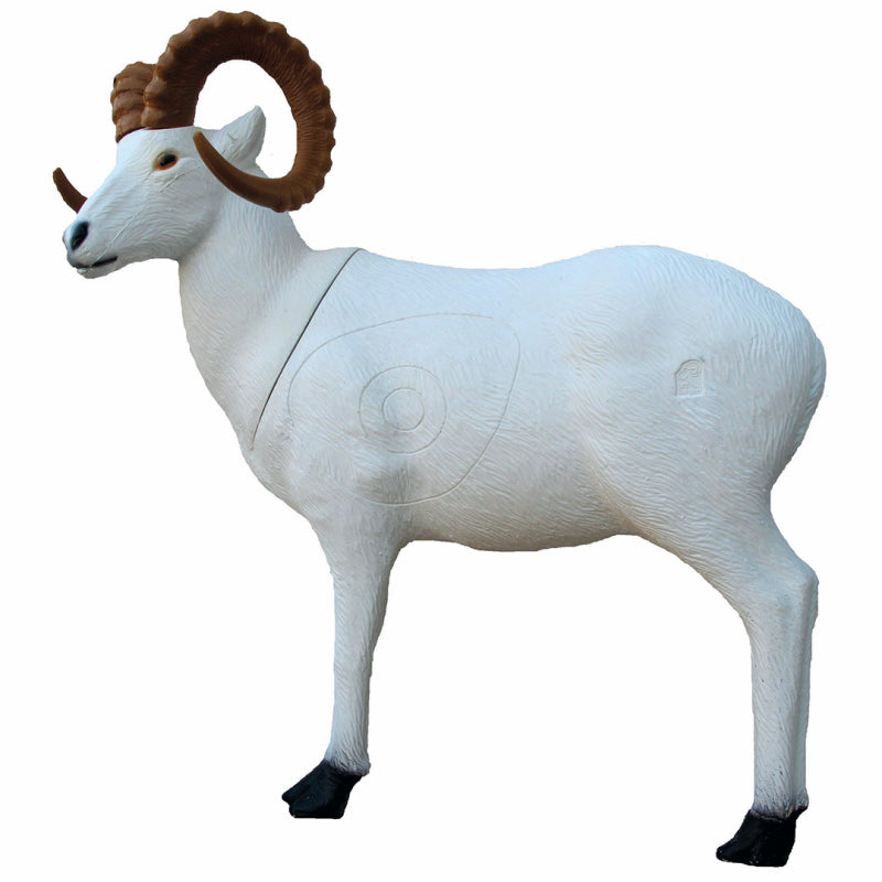 Cible 3D SRT - Mouton de Dall