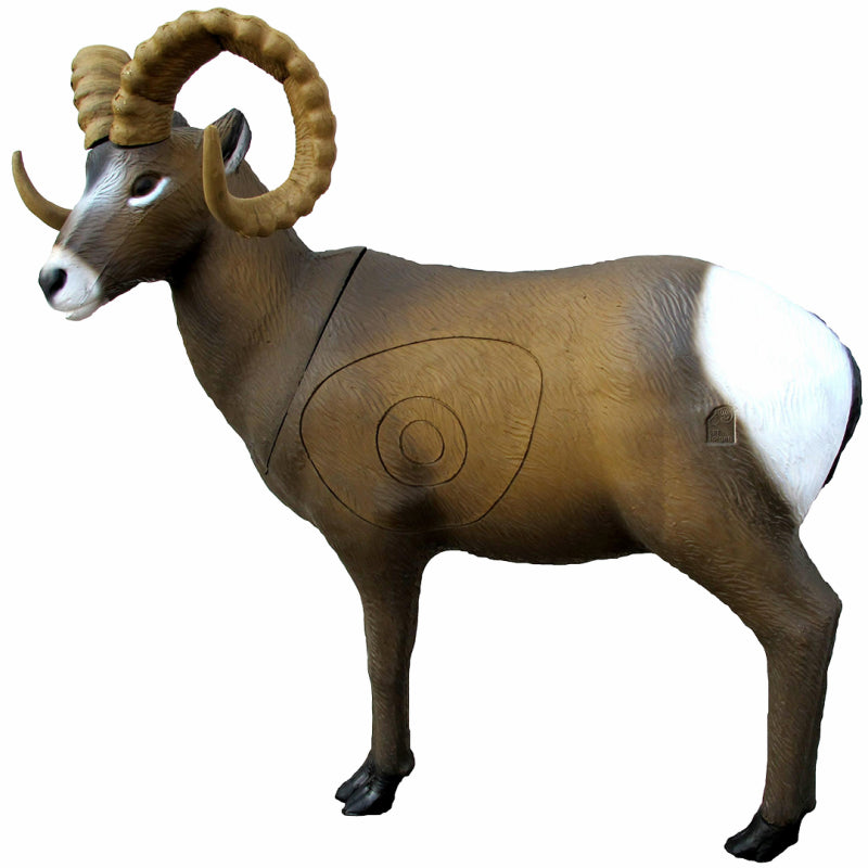 Cible 3D SRT Mouflon des Rocheuses Rocky Mountain Sheep - Archery Connect