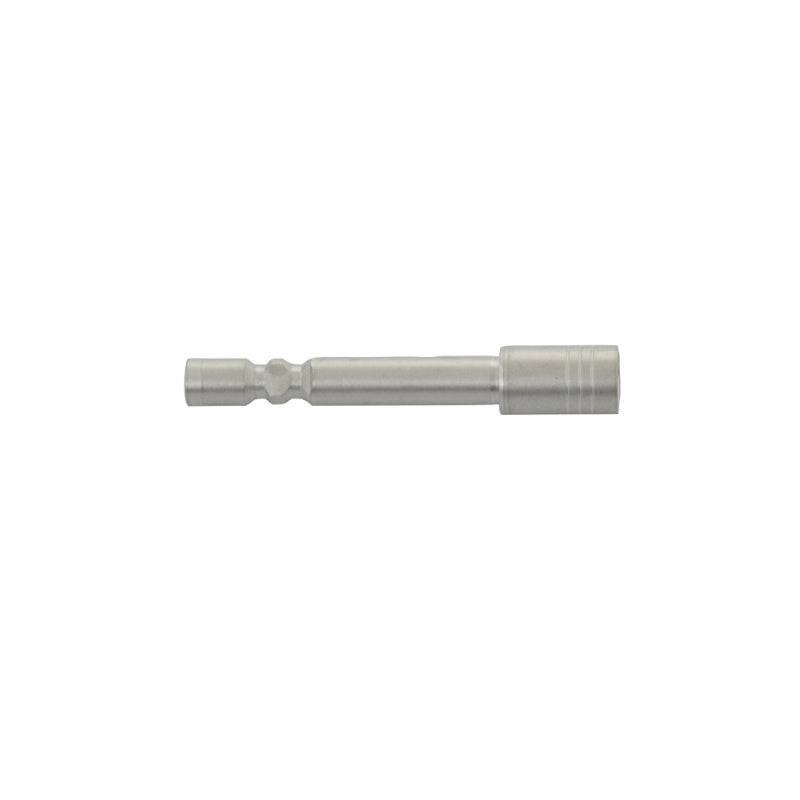 Insert Gold Tip .204