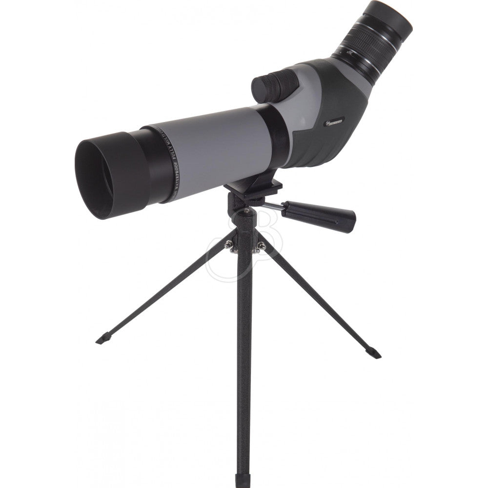 Longue-vue 39Optics 20-60x60 45°