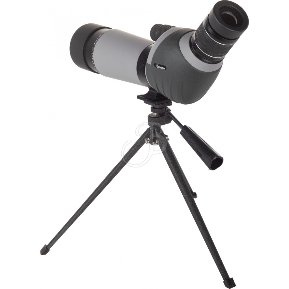 Longue-vue 39Optics 20-60x60 45° vue 3