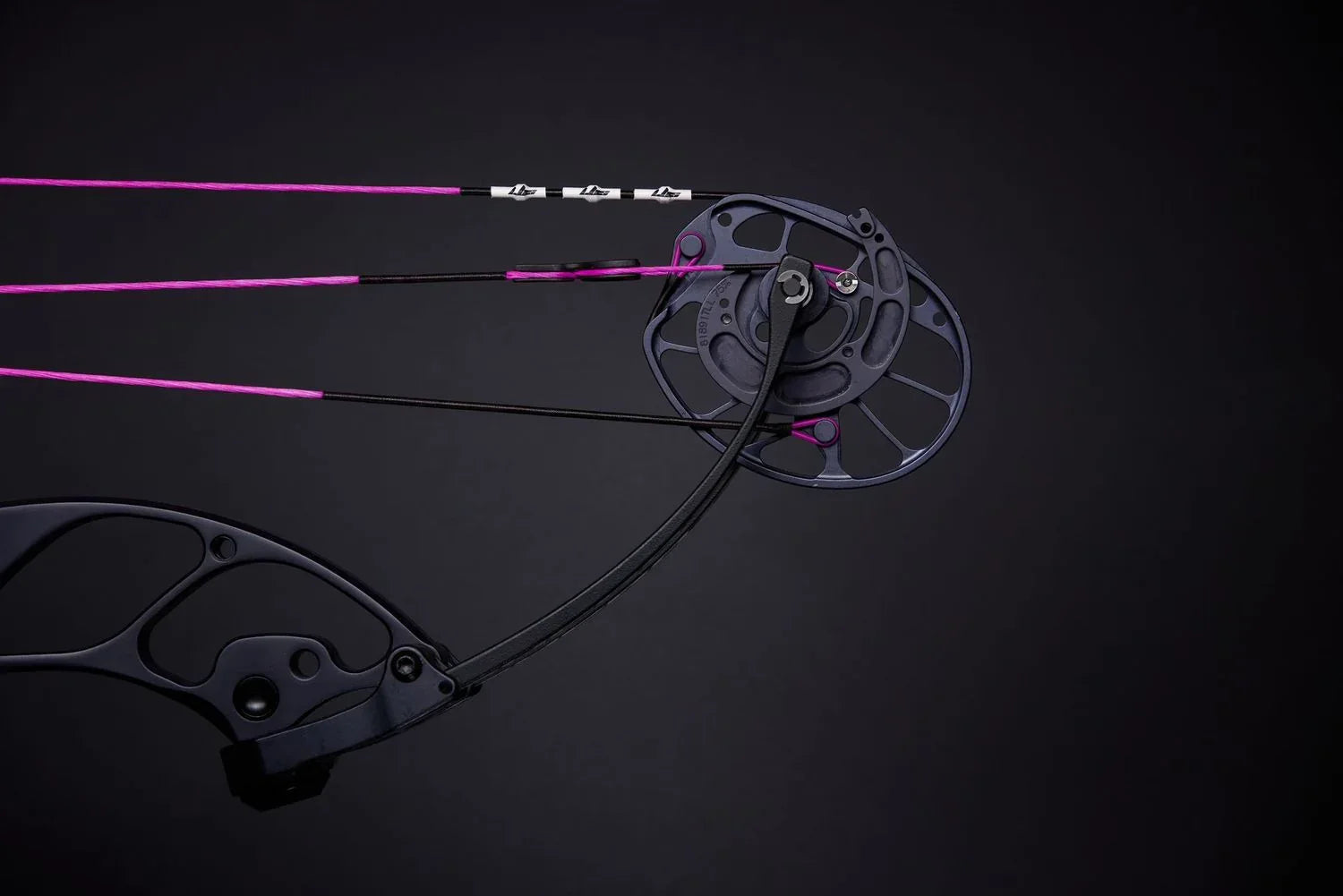 Cordes Arc à Poulies Lbs Archerie PerformX Purple - Archery Connect