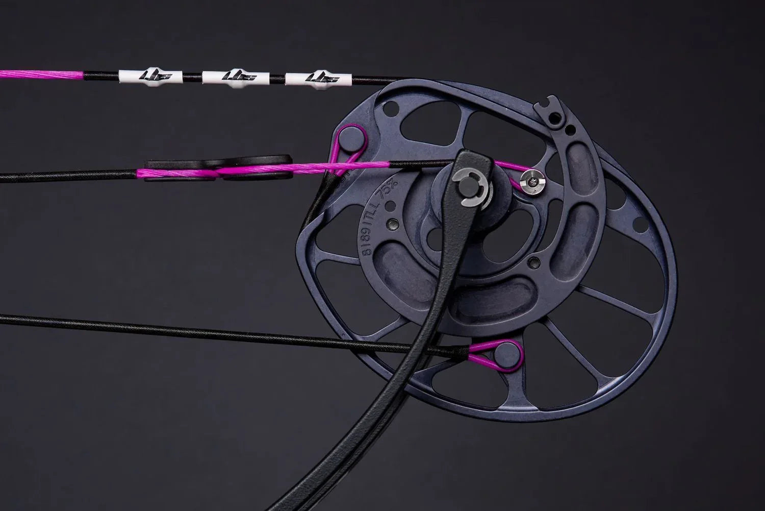 Cordes Arc à Poulies Lbs Archerie PerformX Purple - Archery Connect