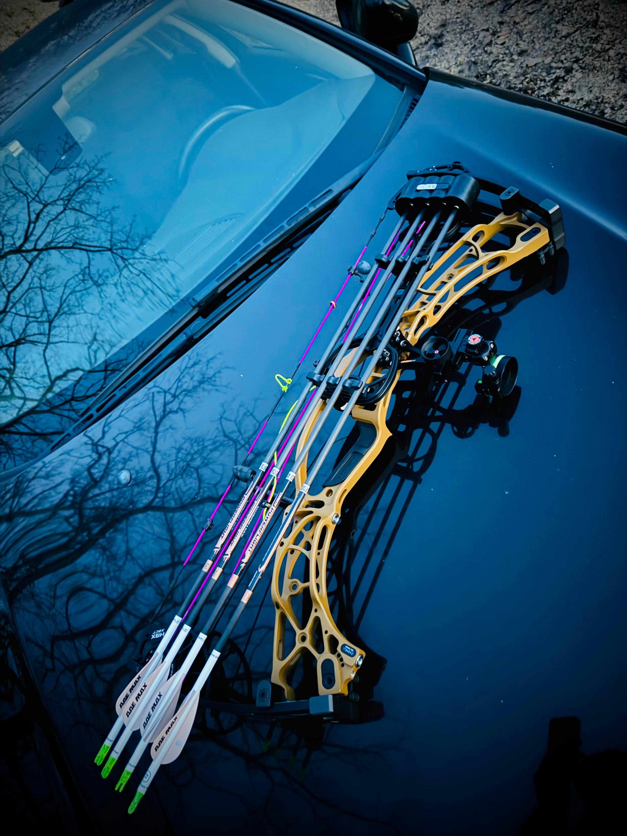 Hoyt Alpha AX 33 (2024) — Lot Complet Occasion — Dépôt-Vente
