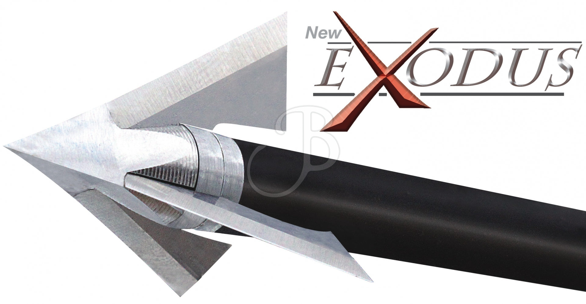 Pointes QAD EXODUS FULL 100GR