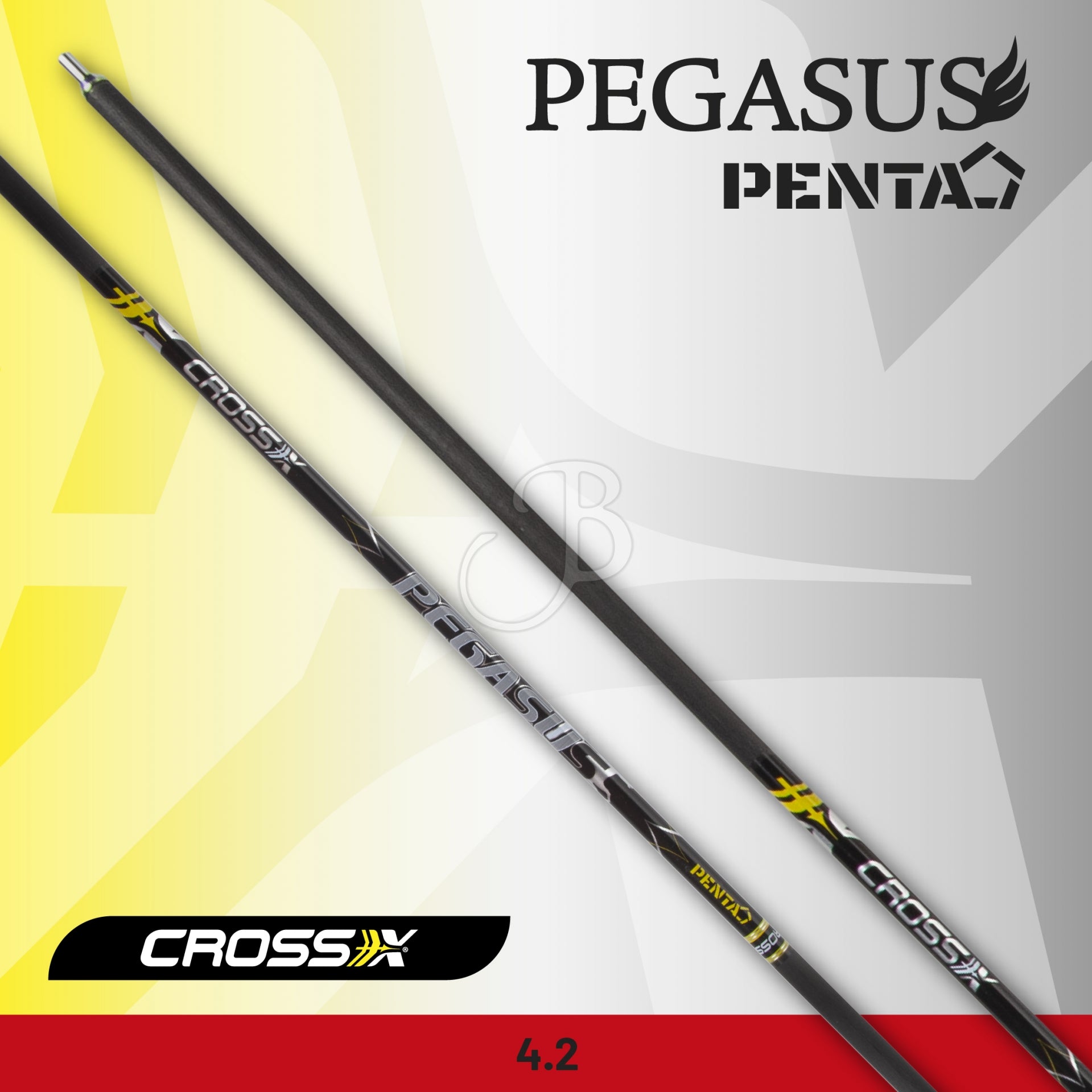 Tubes CROSS-X TUBE PEGASUS PENTA