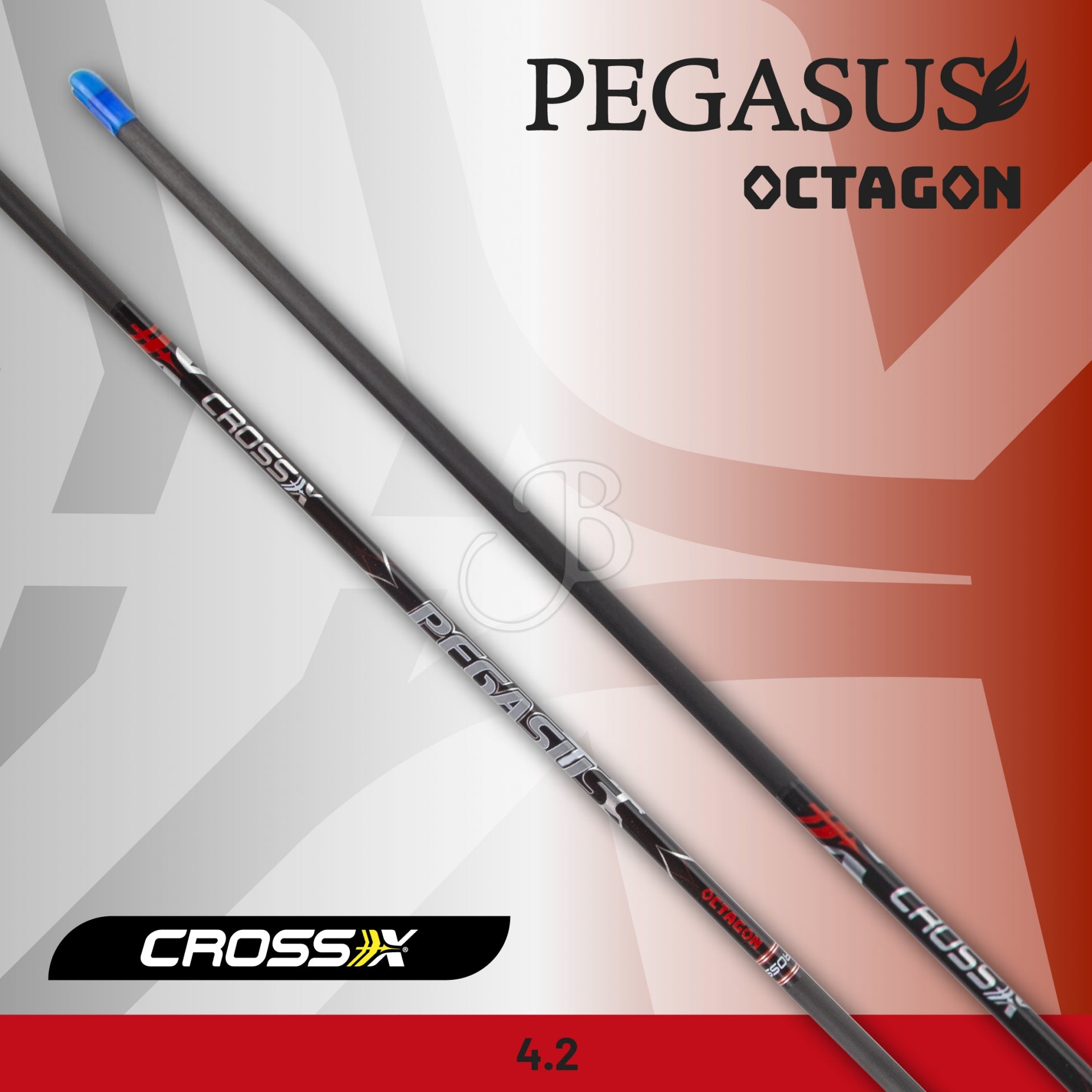 Tubes CROSS-X TUBE PEGASUS OCTAGON