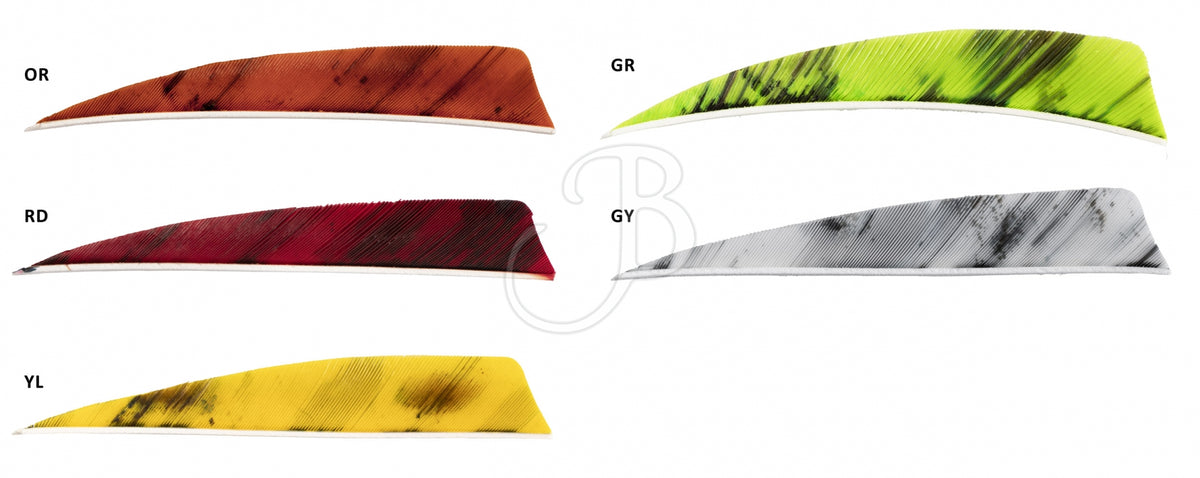 Federn CROSS-X NATURFEDERN 2" BATWING