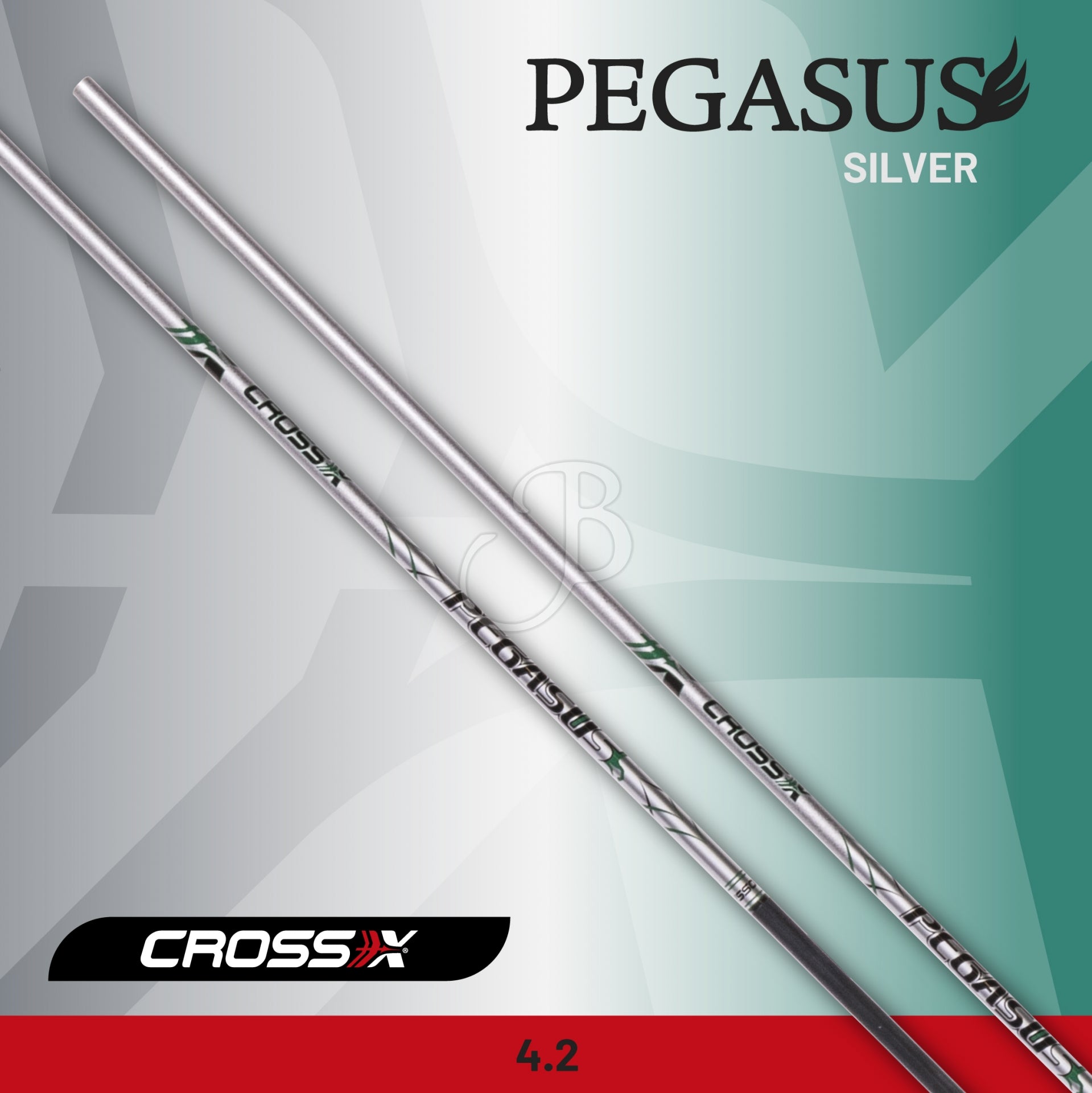 Tubes CROSS-X TUBE PEGASUS SILVER