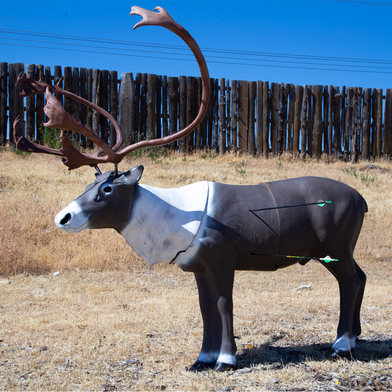 Cible Target Delta McKenzie 3D Caribou - Vue 3 - Archery Connect