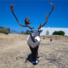 Cible Target Delta McKenzie 3D Caribou