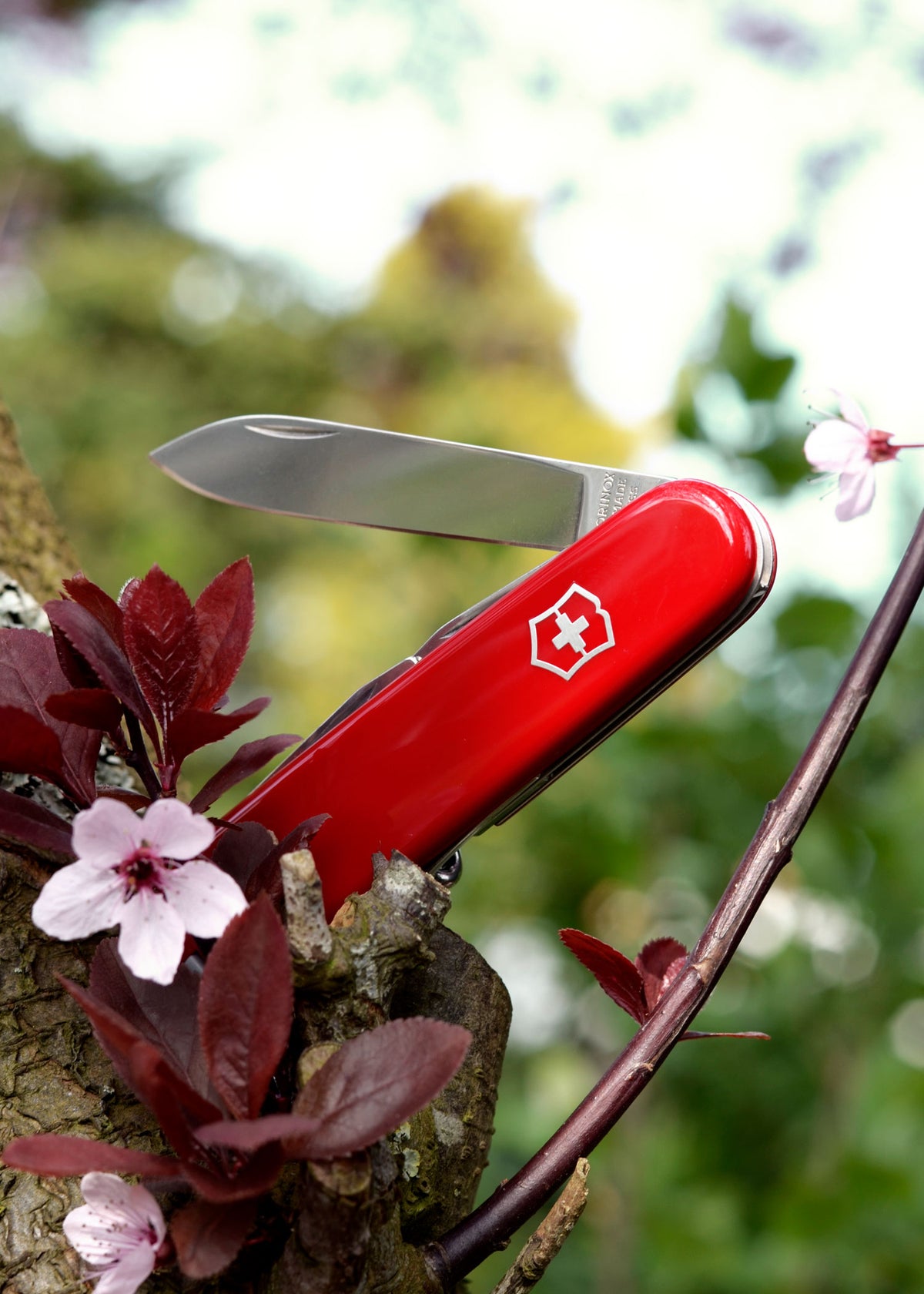 Couteau suisse Victorinox Spartan rouge, 12 fonctions