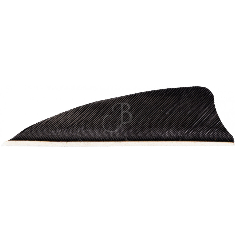Penne CROSS-X PENNE NAT. 2" BATWING
