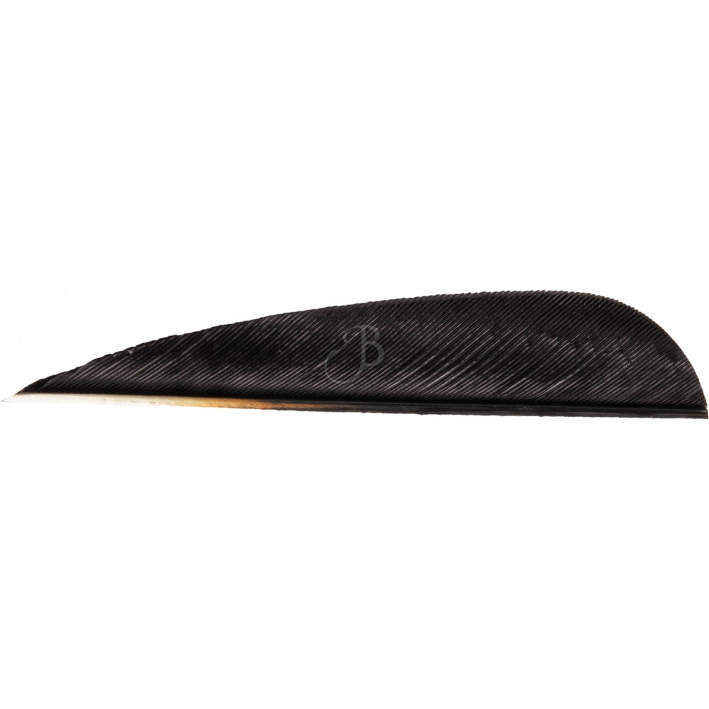 Plumes CROSS-X PLUMES NAT. 3" PARA