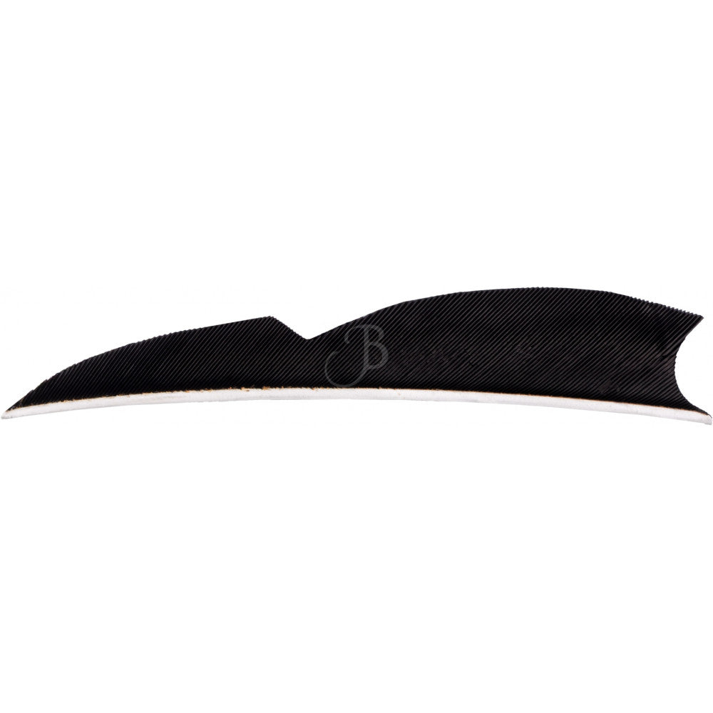 Penne CROSS-X PENNE NAT. 2" BATWING