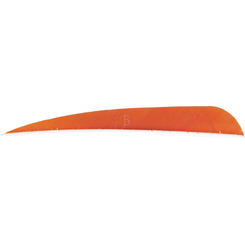 Cross-X Penne Nat. 4" Parabolic