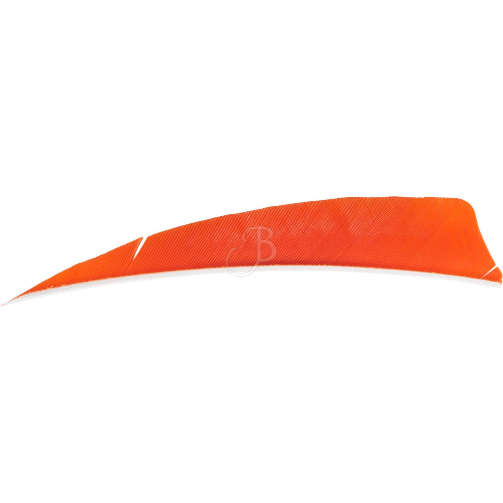 Cross-X Naturfedern 4" SH