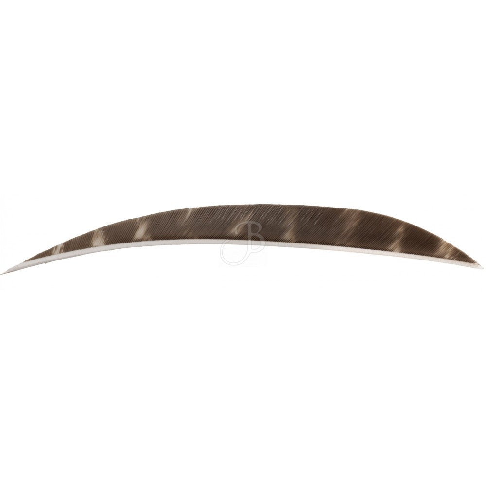 Federn CROSS-X NATURFEDERN 5" BANANA BARR.