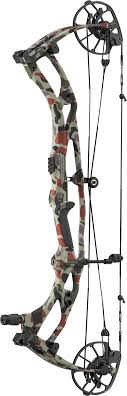 Arc à Poulies Hoyt Carbon RX-10 Ultra LD