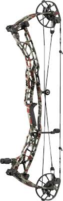 Arc à Poulies Hoyt Alpha AX-3 33 LD