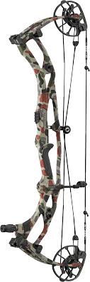 Arc à Poulies Hoyt Carbon RX-10 Ultra