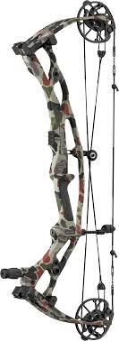 Arc à Poulies Hoyt Carbon RX-10 SD