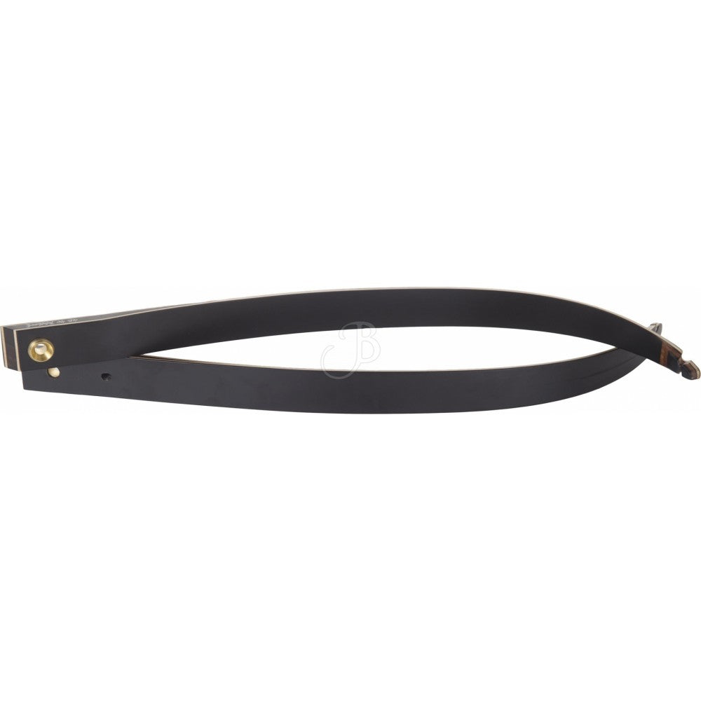 Branches d'Arc Gravity Gecko Noires Medium