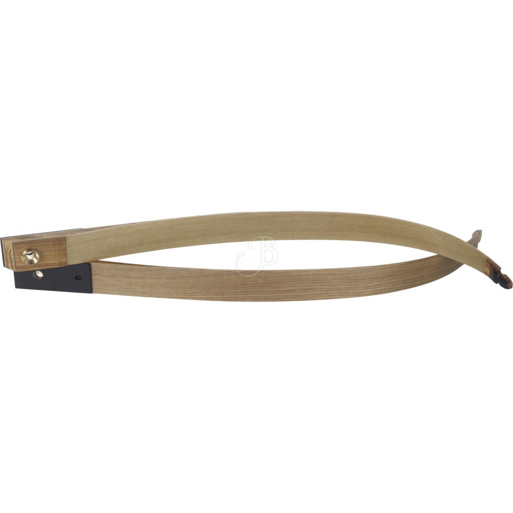 Branches d'Arc Gravity Gecko Clear Medium
