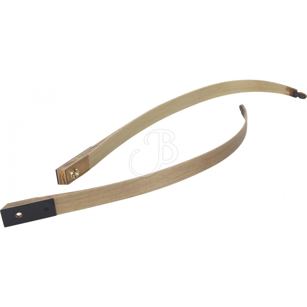 Branches d'Arc Gravity Gecko Clear Medium