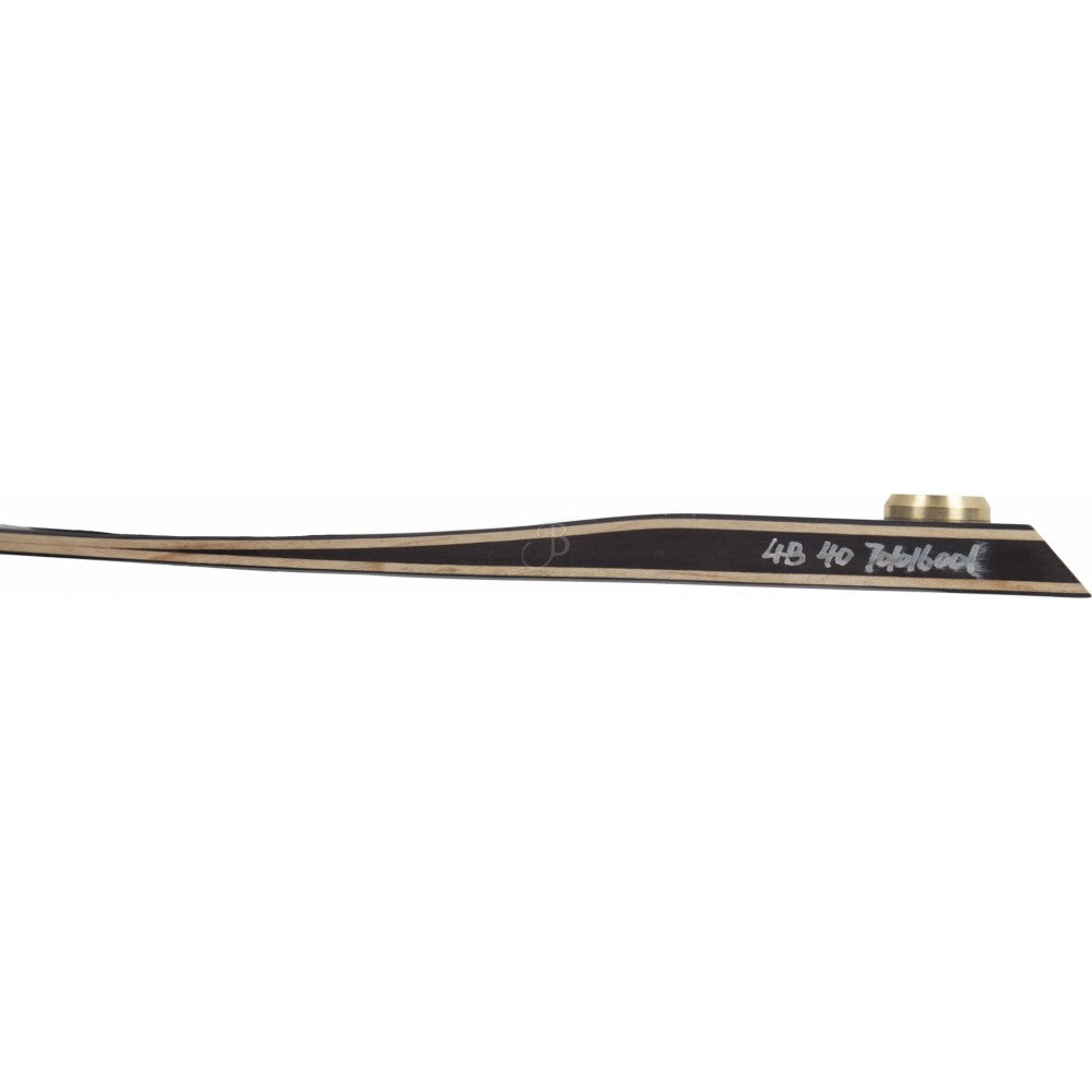 Branches d'Arc Gravity Gecko Noires Medium