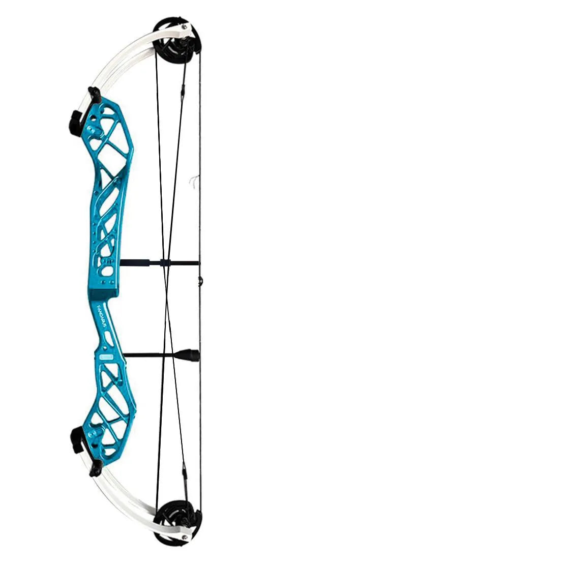 Arc à Poulies Pandarus Cambrian Ambidextre Camv26 - Archery Connect