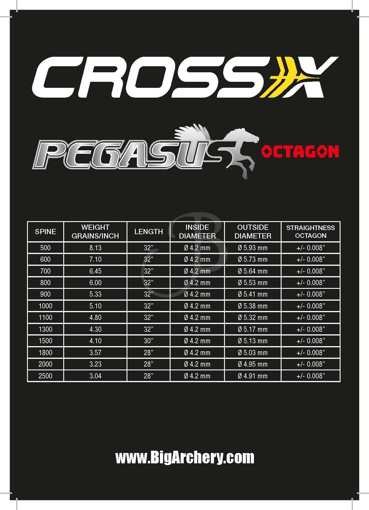 Tubes CROSS-X TUBE PEGASUS OCTAGON