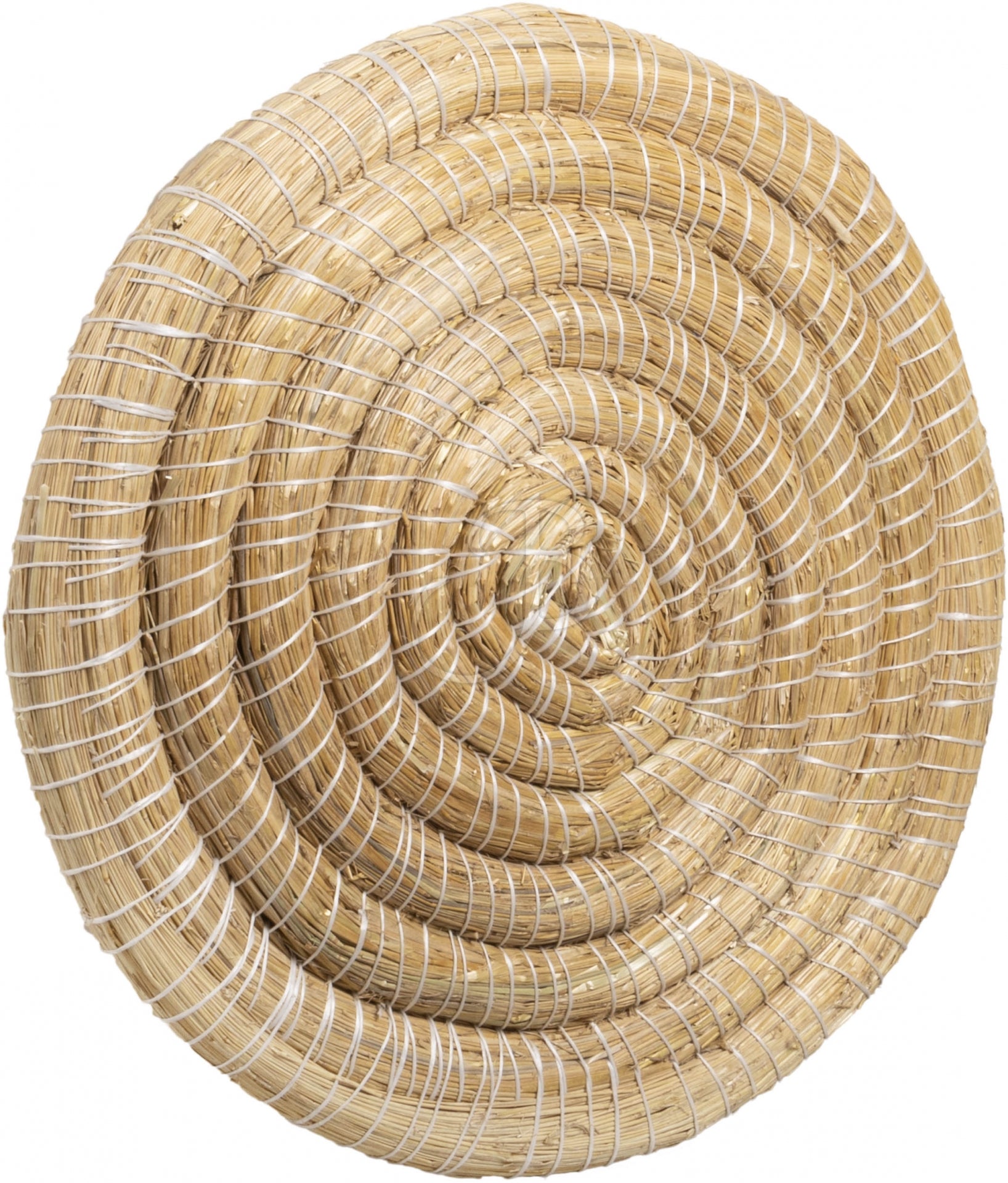 Cible BLACKBIRD CIBLE EN PAILLE 80 CM. X 8 CM