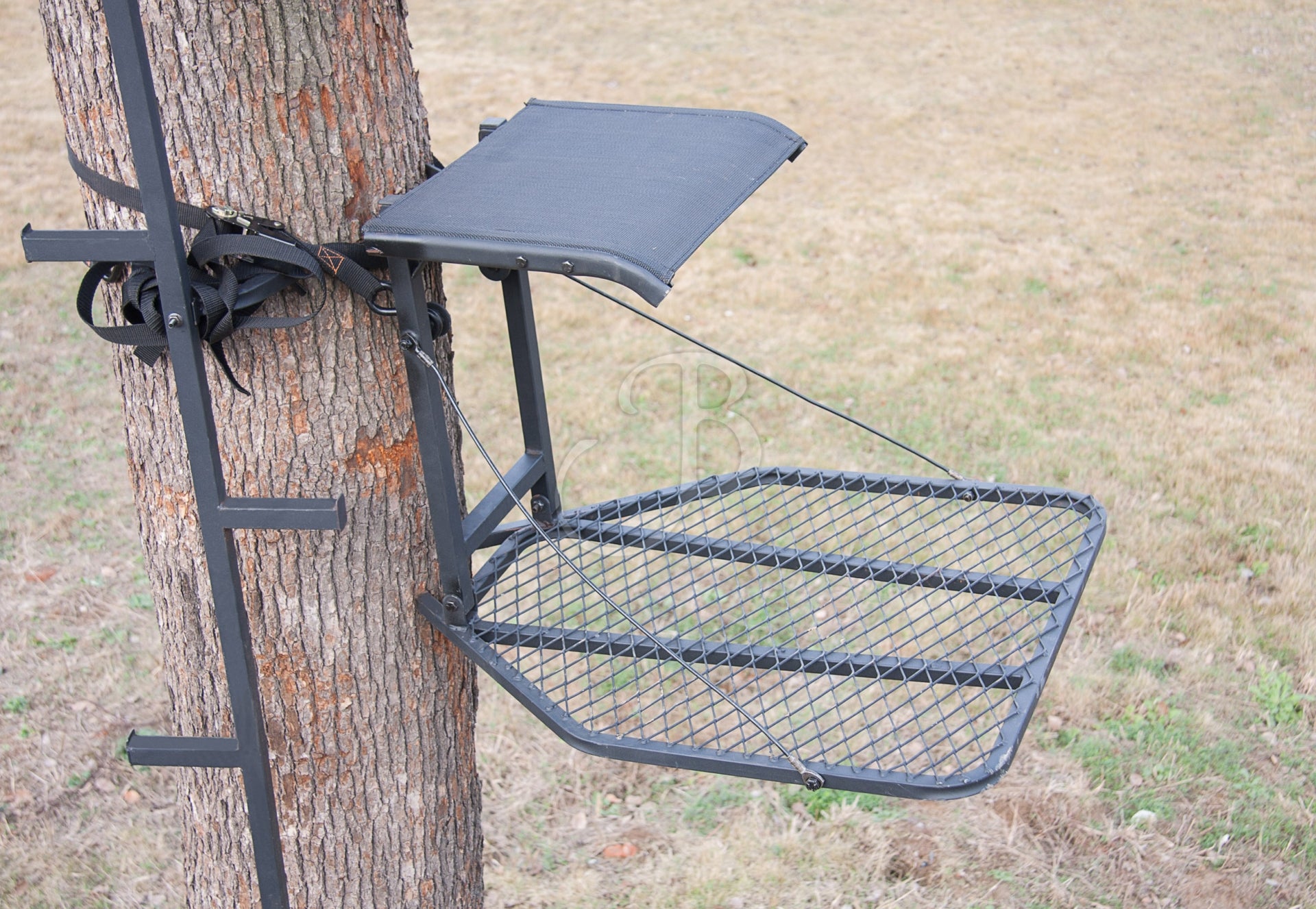 Treestand 39Hunter Alpha