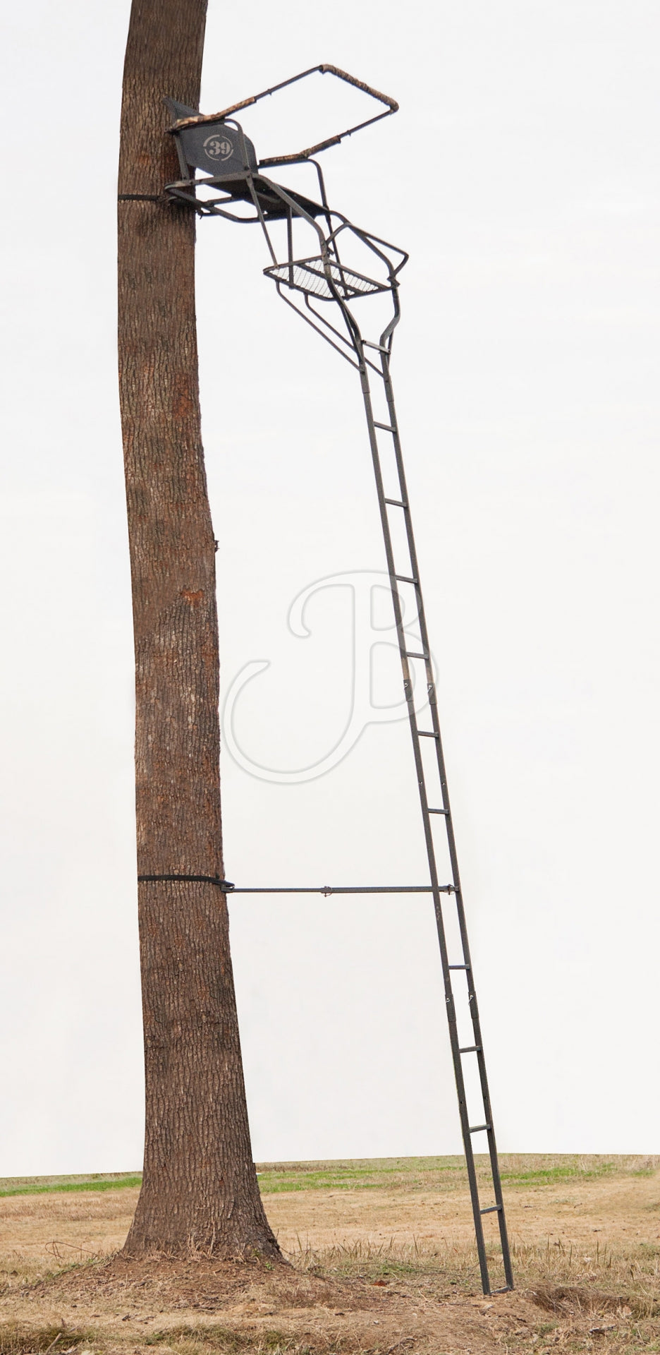 Treestand 39Hunter Ladder 2 Personnes