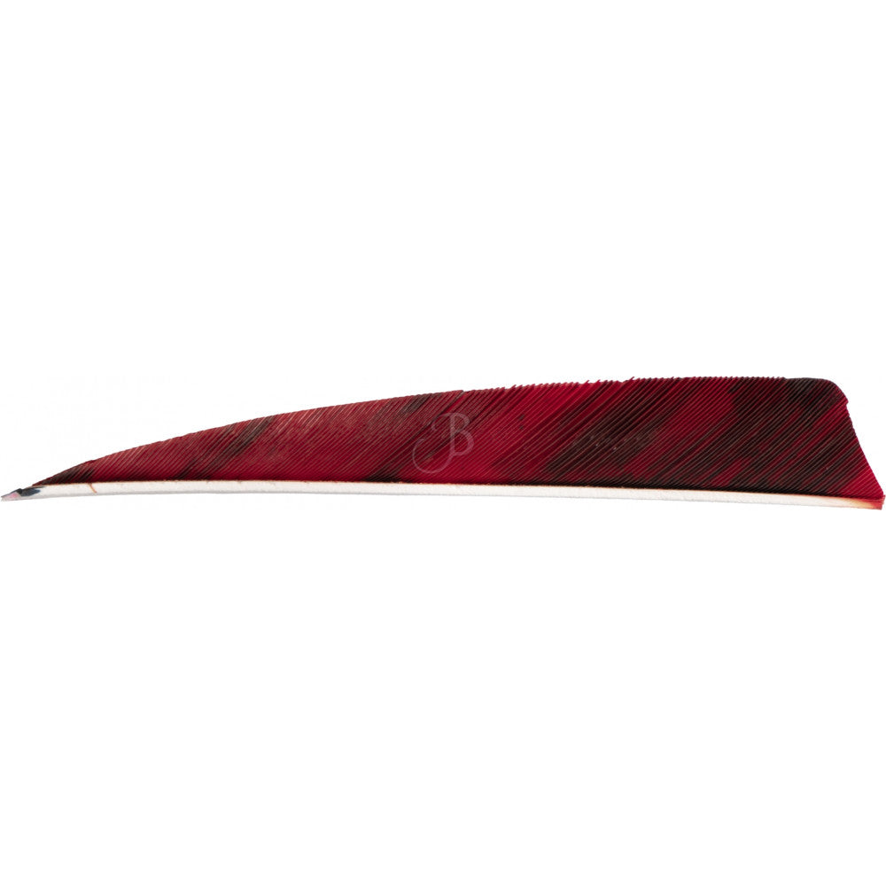 Federn CROSS-X NATURFEDERN 2" BATWING