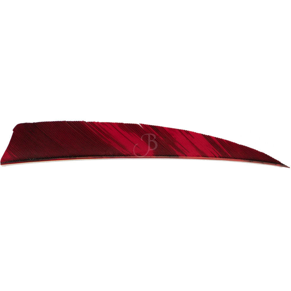 Federn CROSS-X NATURFEDERN 2" BATWING