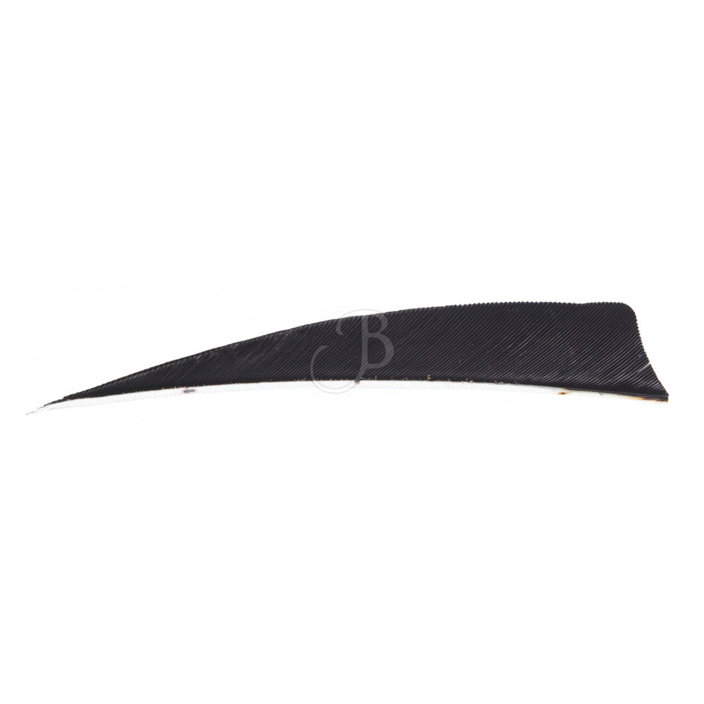 Plumes Wild Mountain 4 SH Noir