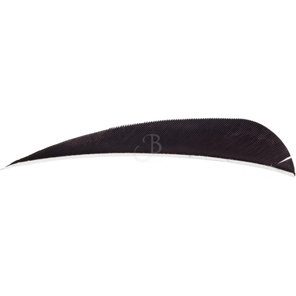 Plumes naturelles Wild Mountain 4 Noir