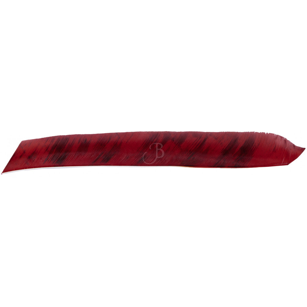 Penne CROSS-X PENNE NAT. FULL LGT TREB.